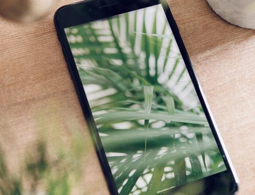 هرگز حل و فصل نکنید